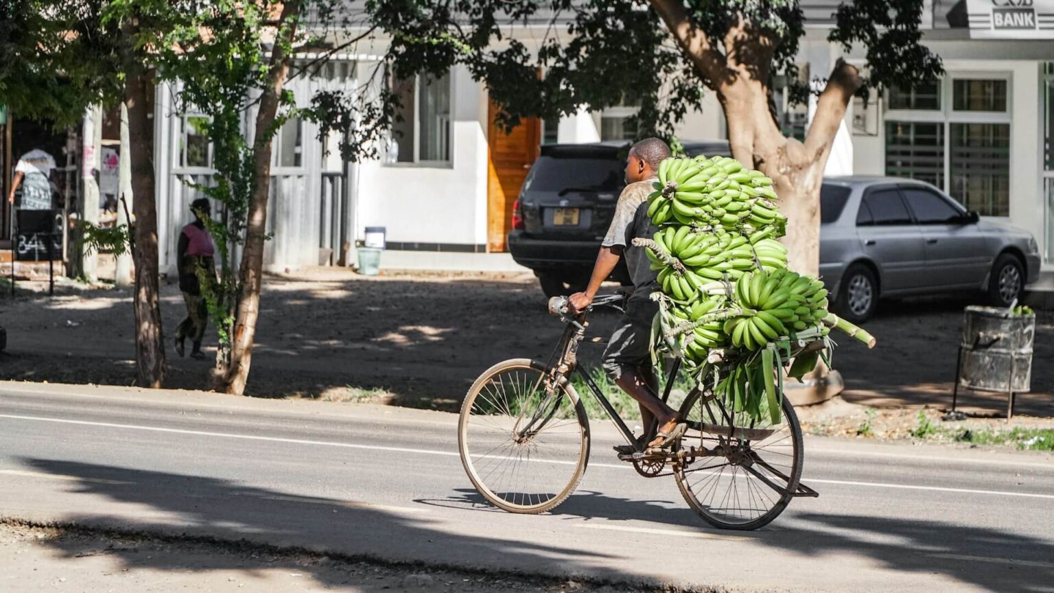 banana transport bike